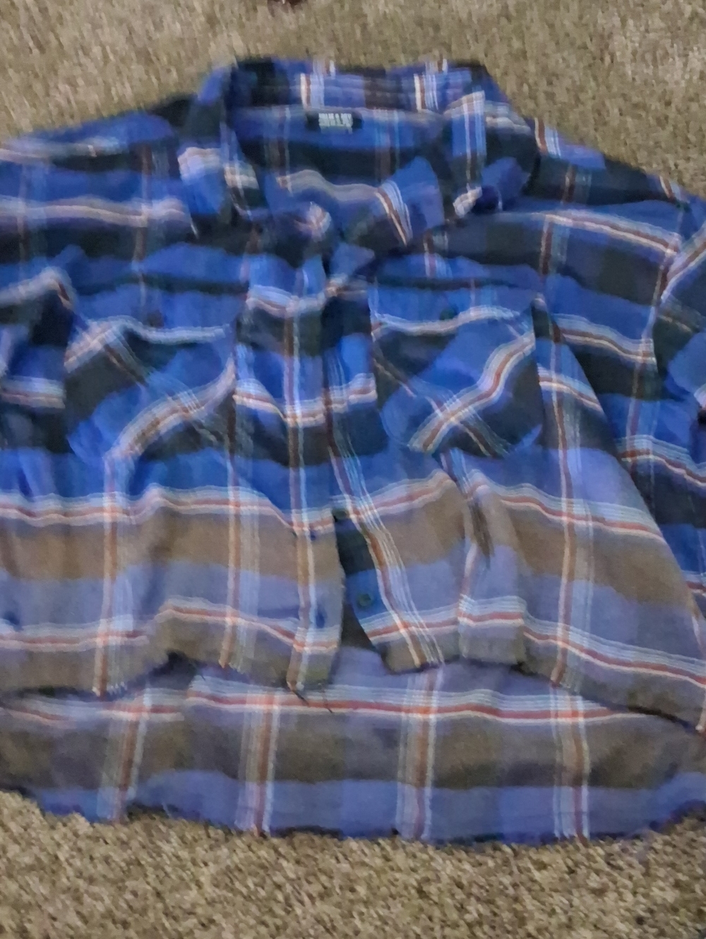 Blue Plaid Button-Down Shirt - Women